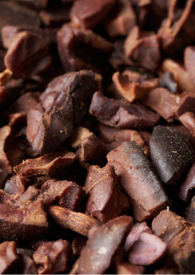 A close up of cacao nibs