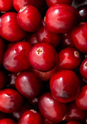 Close up of fresh red cranberries