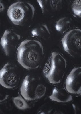 A close up of dark elderberries